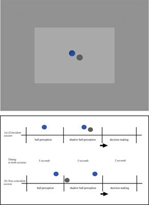 Predicting neural activity of whole body cast shadow through object cast shadow in dynamic environments